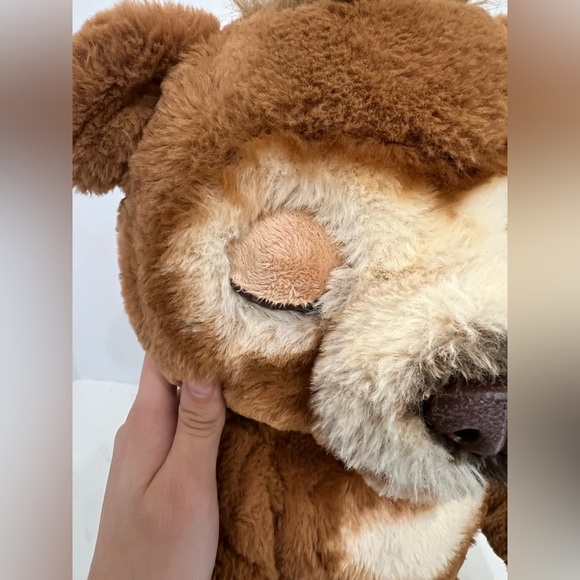 Cuddly Brown Bear Plush Toy - Picture 10 of 17